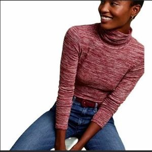 Anthropologie pure + good turtleneck